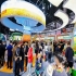 2026秋糖展位申请截止倒计时30天，新锐品牌还剩5个关键动作